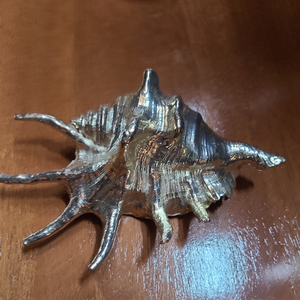 Silver plated shell